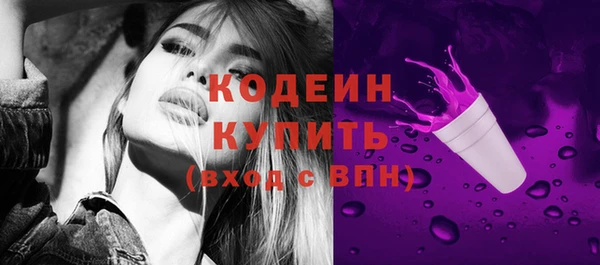 твердый Новодвинск
