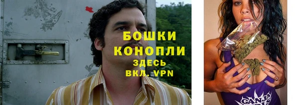 твердый Новодвинск