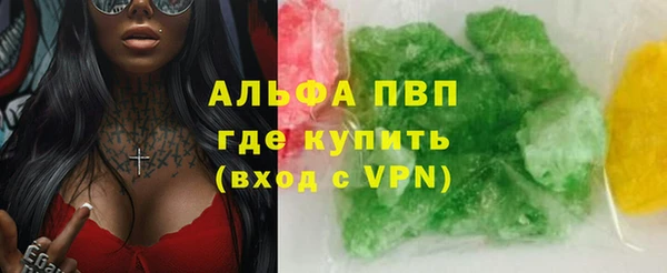 стаф Новокубанск