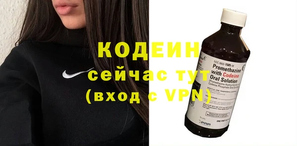 твердый Новодвинск
