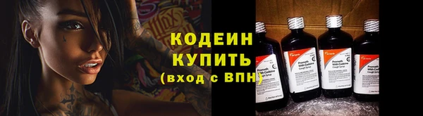 стаф Новокубанск