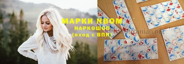 стафф Нефтекумск