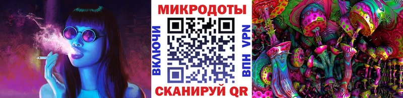 Галлюциногенные грибы Psilocybe купить наркоту Почеп