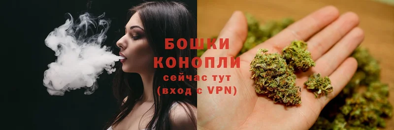 где купить наркоту  Почеп  Шишки марихуана THC 21% 